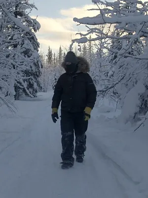Alaska : nouvelle vie