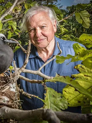 Le tour du monde de David Attenborough