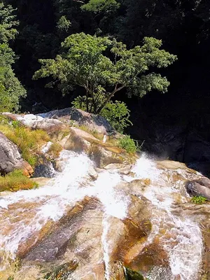 Les nouveaux sanctuaires de la nature