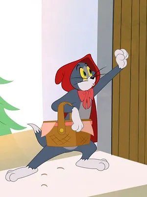 Tom et Jerry Show S5 E7