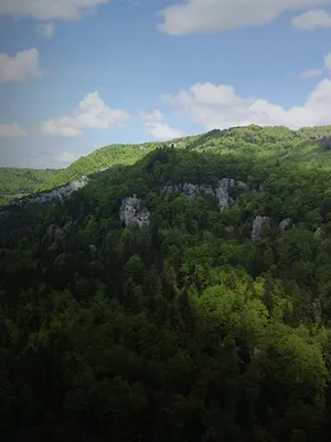 Enquêtes de Région