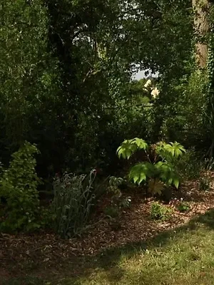 Silence, ça pousse !