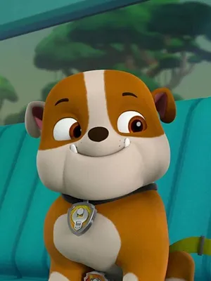 Paw Patrol, la Pat'Patrouille S4 E20