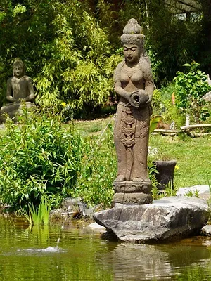 Natur im Garten