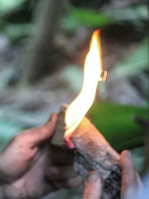 Retour à l'instinct primaire : seul au monde