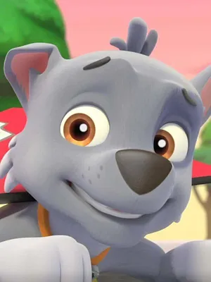 Paw Patrol, la Pat'Patrouille S2 E9