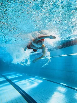 Natation : Championnats de France petit bassin