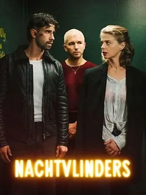 Nachtvlinders