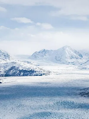 Alaska, l'aventure grandeur nature