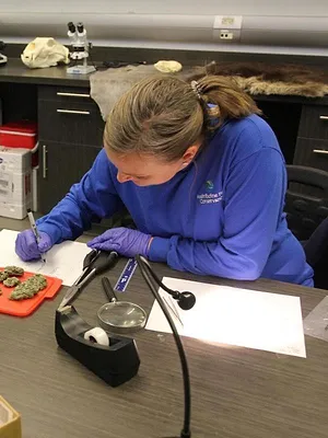 Vétérinaires de l'Arctique