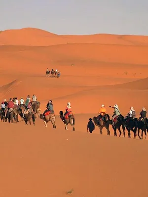 Invitation au voyage