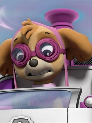 Paw Patrol, la Pat'Patrouille S7 E11