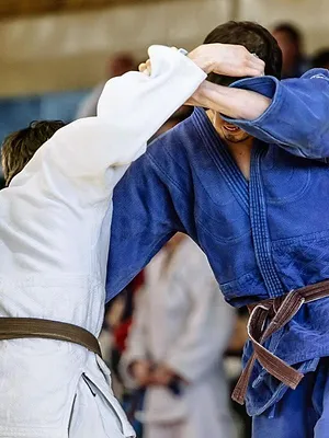 Judo : Grand Slam de Linz