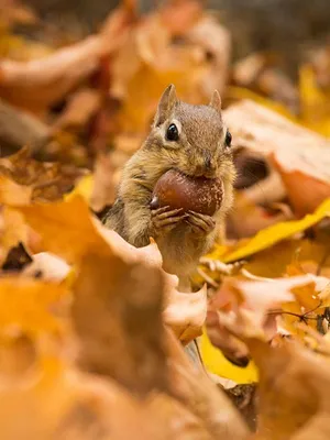 Le cycle des saisons