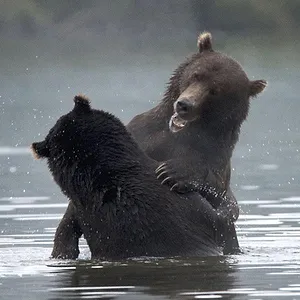 Wild Russia: Earth’s Last Great Wilderness