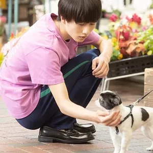 Chihayafuru : Un nouveau cycle