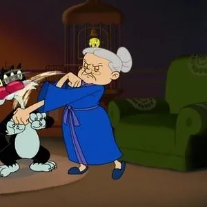Looney Tunes Cartoons
