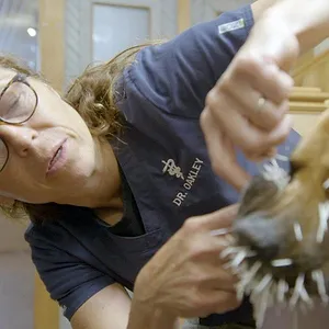 Michelle ou la vie sauvage