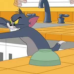 Tom et Jerry Show