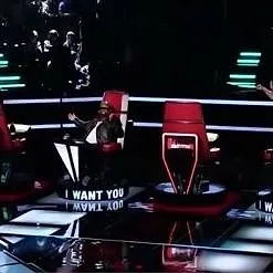 The Voice (États-Unis)