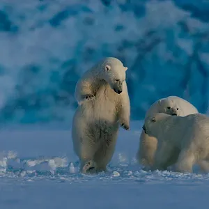Terre : les couleurs nocturnes