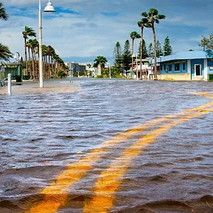 Catastrophes naturelles : Survivre au pire