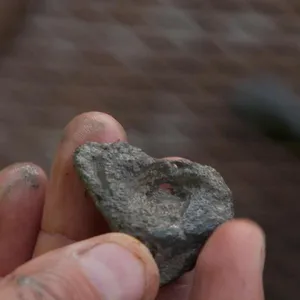 Le mystère d'Oak Island