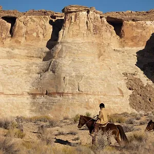 The Reluctant Traveller with Eugene Levy