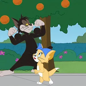 Tom et Jerry Show