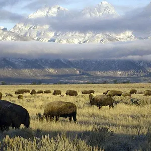 America's National Parks