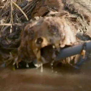 Les secrets du Skinwalker Ranch