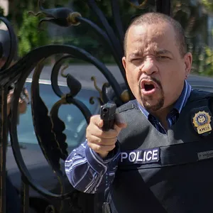 New York Unité Spéciale