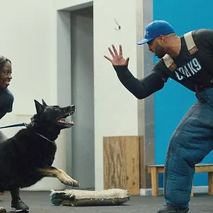 Canine Academy