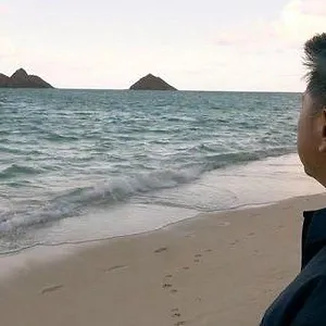 When Sharks attack...