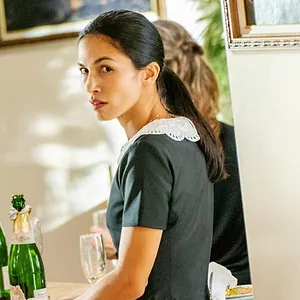 The Cleaning Lady