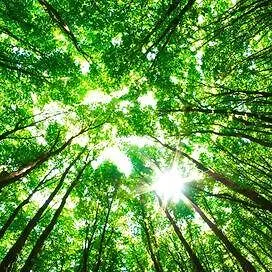 Sale temps pour la planète