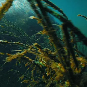 America's National Parks