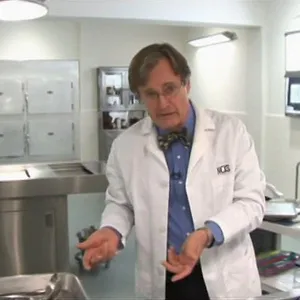 NCIS : Enquêtes spéciales
