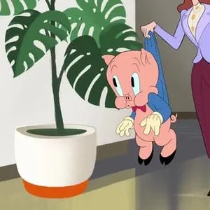 Looney Tunes Cartoons