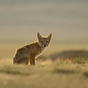 America's National Parks