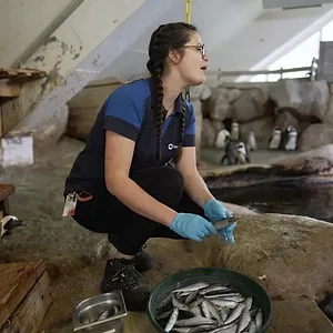 Nausicaá : Dans les coulisses du plus grand aquarium d'Europe