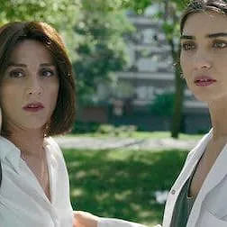 Le Chemin de l'olivier