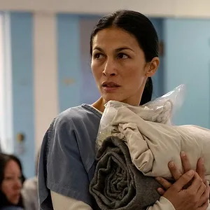The Cleaning Lady