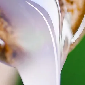 L'origine des saveurs