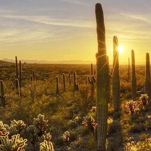 America's National Parks
