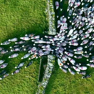 L'Europe vue du ciel