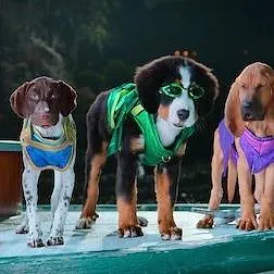 Super PupZ