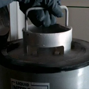 X-Files : Aux frontières du réel