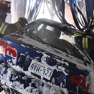 Grey's Anatomy : Station 19