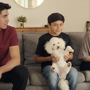 Canine Academy